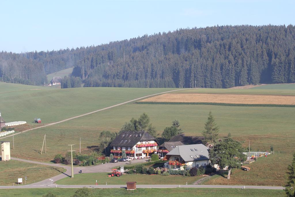 Pension Altvogtshof Eisenbach  Dış mekan fotoğraf