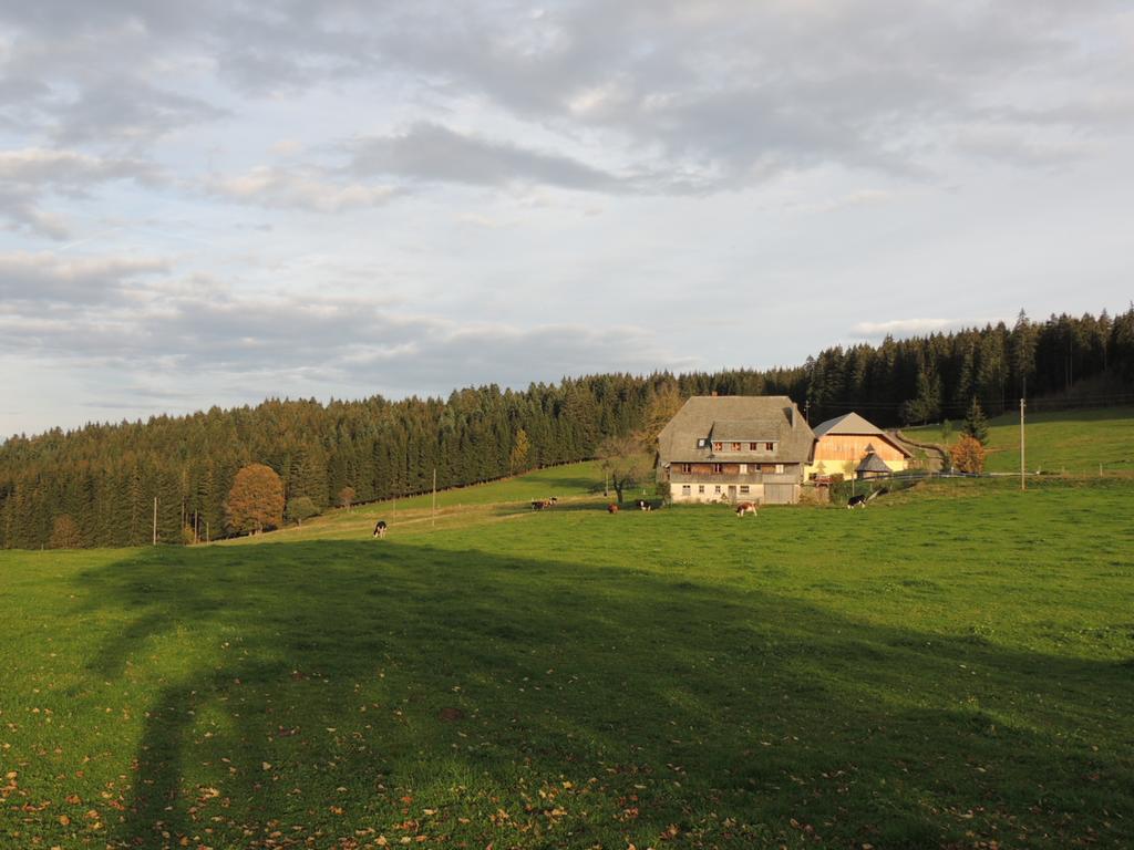 Pension Altvogtshof Eisenbach  Dış mekan fotoğraf