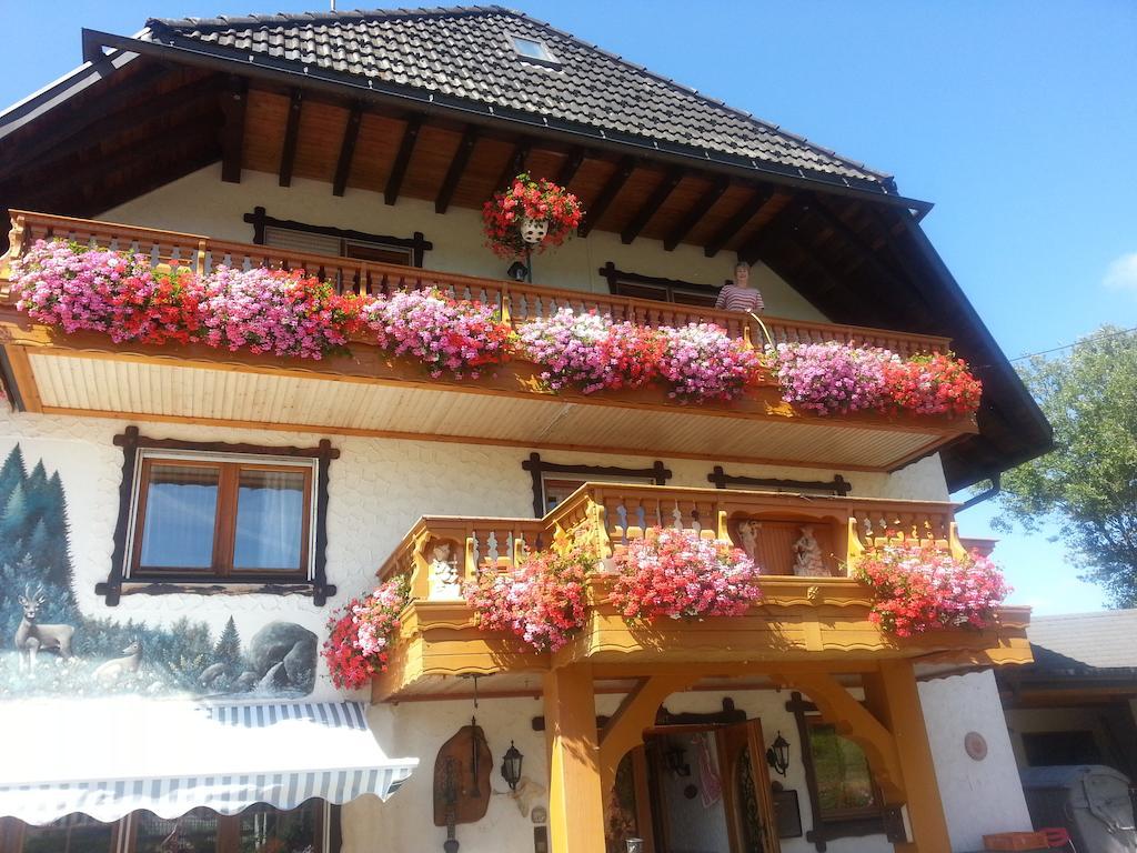 Pension Altvogtshof Eisenbach  Dış mekan fotoğraf