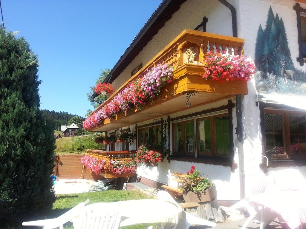 Pension Altvogtshof Eisenbach  Dış mekan fotoğraf