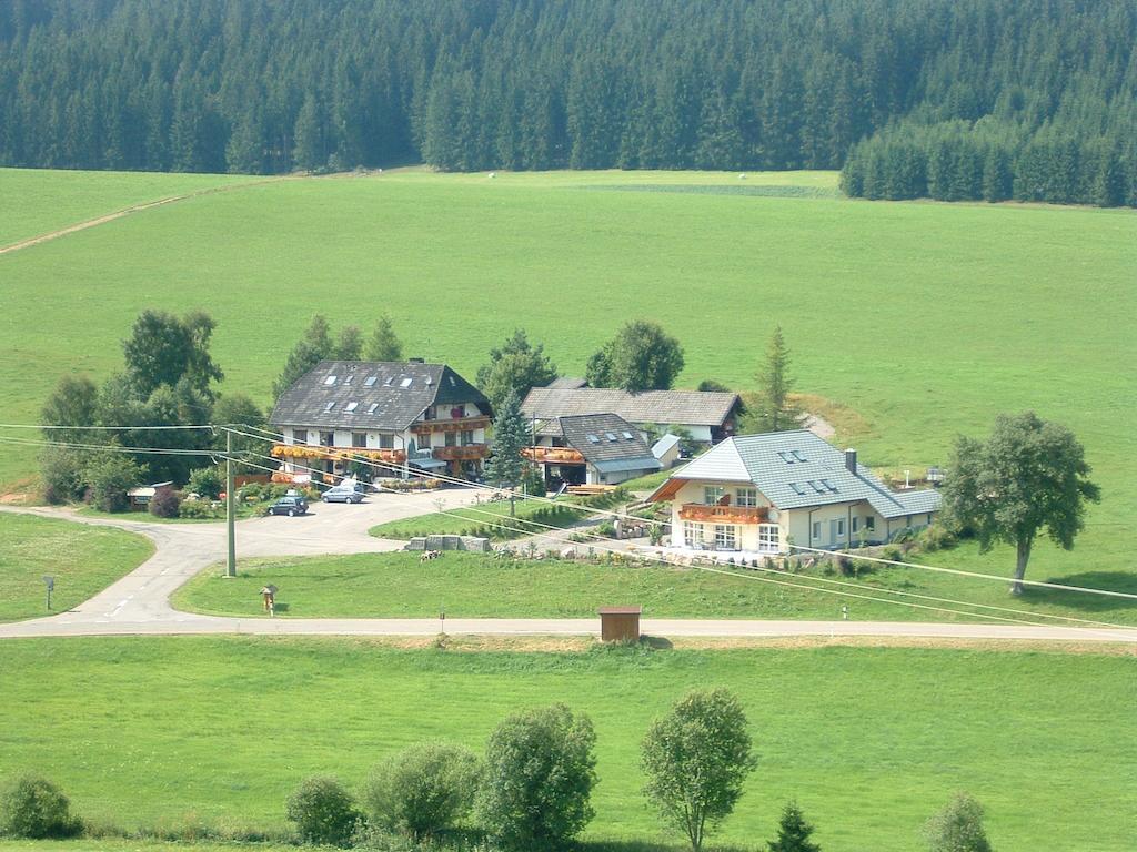 Pension Altvogtshof Eisenbach  Dış mekan fotoğraf
