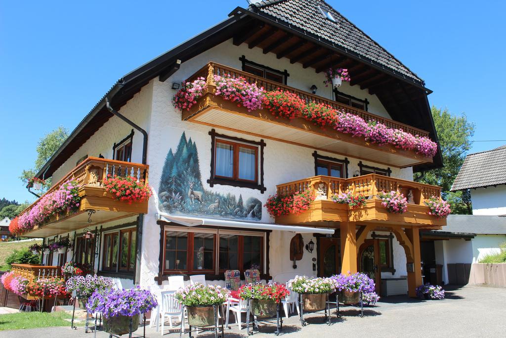 Pension Altvogtshof Eisenbach  Dış mekan fotoğraf